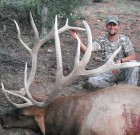 2012-13 Elk Contest