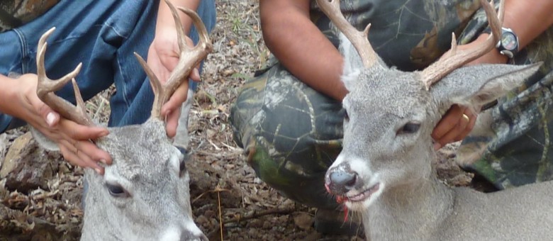 San Carlos Rez Bucks 2010