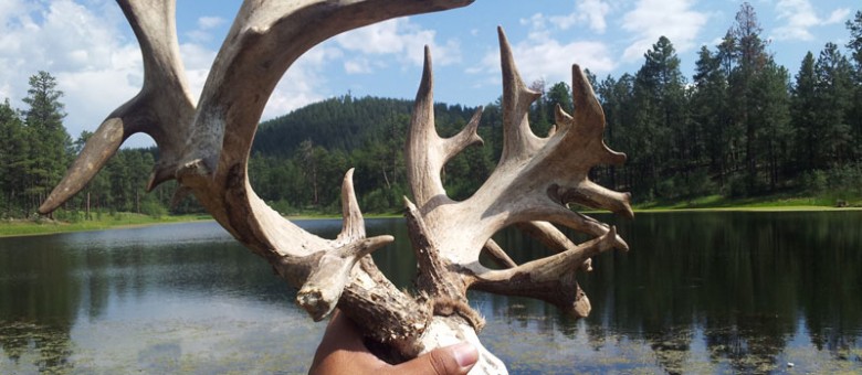 “THE LEGEND” Danny Pusher Jr  April 2012 WMAT pickup