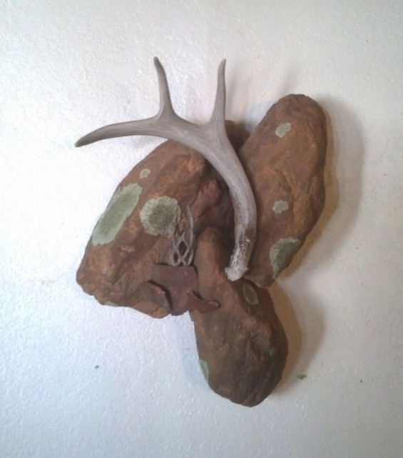 coues-wall-art