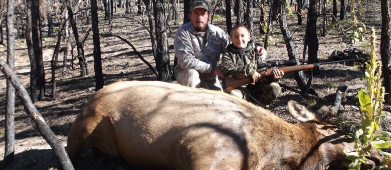 sams 2012 cow elk