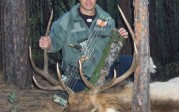 2012 Archery Bull Elk