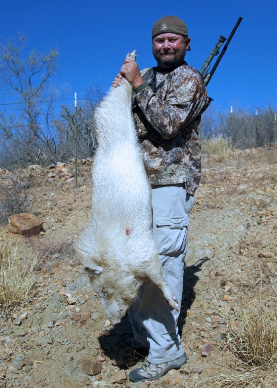 Albino Javelina