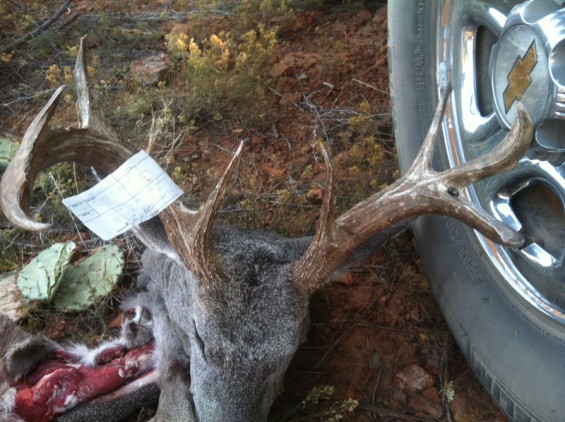 jim-roden-108-coues-2012a