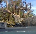 Coues Hunting Success in New Mexico by Robert Jacquez