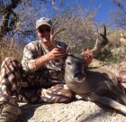 First Coues