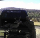 Kico’s 2012 Coues Buck 36B