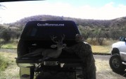 Kico’s 2012 Coues Buck 36B