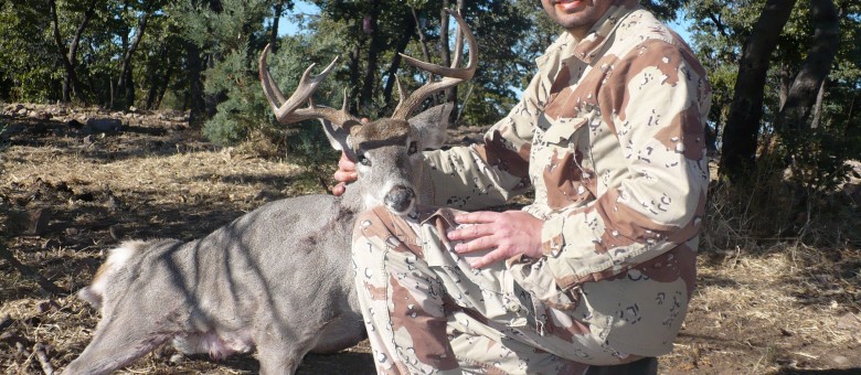 Another whopper 2009 / 11 Pointer, good mass and decent inside spread