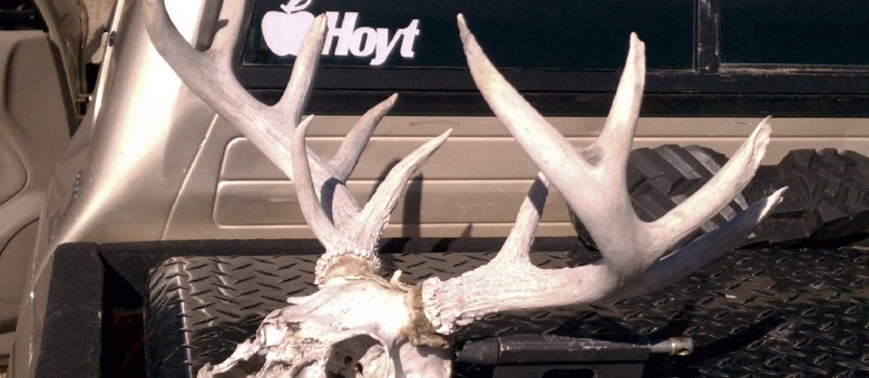 Coues Pick up.