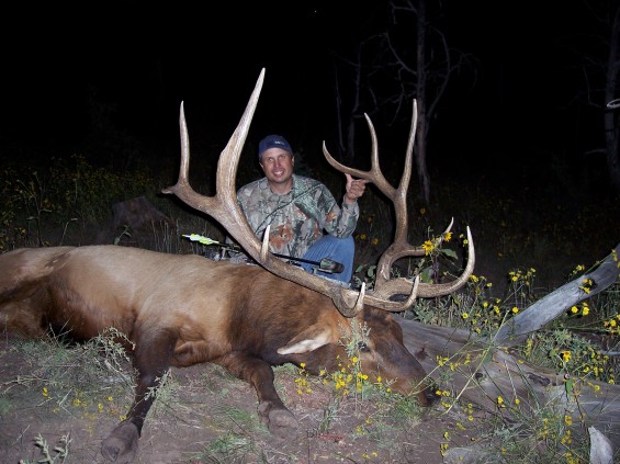 arizona archery elk