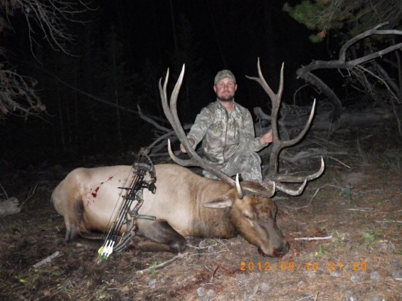 utah archery elk