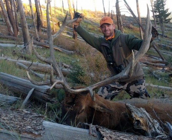 arizona rifle bull elk