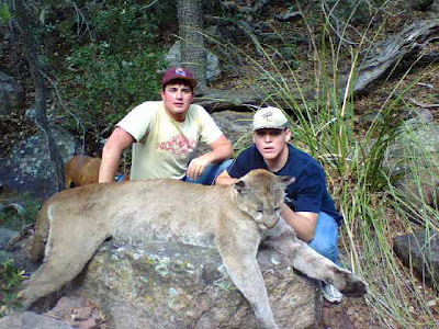 mtn lion 1