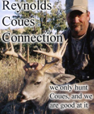 Reynolds Coues Connection