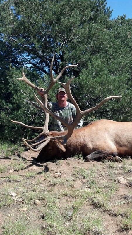 ryan owens archery elk 2012