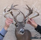 The “Shed Buck” – backpacking in to take a real character buck!