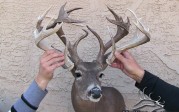The “Shed Buck” – backpacking in to take a real character buck!
