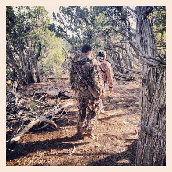 arizona bull elk hunt