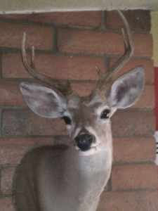 Nov. 2010