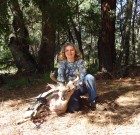 Sept 11 /2013 Velvet buck  25 yard shot