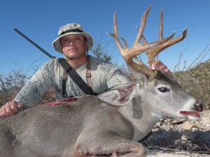 118 gross Sonora Mexico coues deer