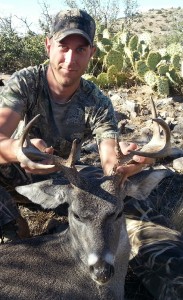 coues whitetail deer