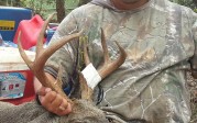 December 2013 Coues Buck