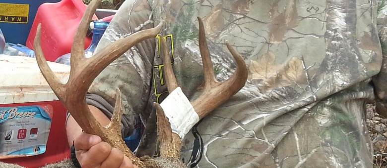 December 2013 Coues Buck