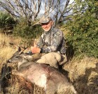 New Mexico Coues Buck