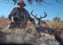 Sonora Mexico Coues Deer 2009