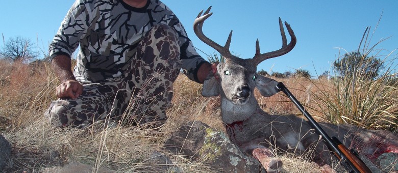 Sonora Mexico Coues Deer 2009