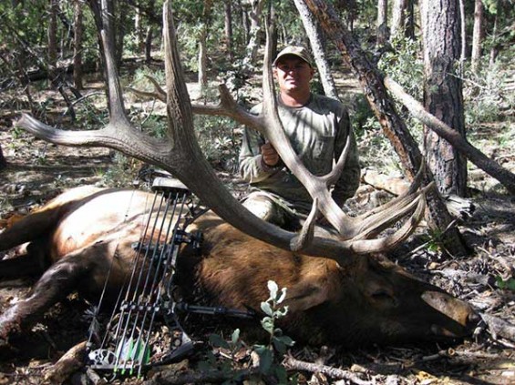 dieringer elk 1