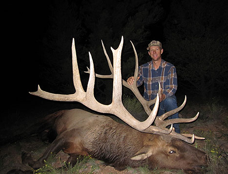 dieringer elk pic 2