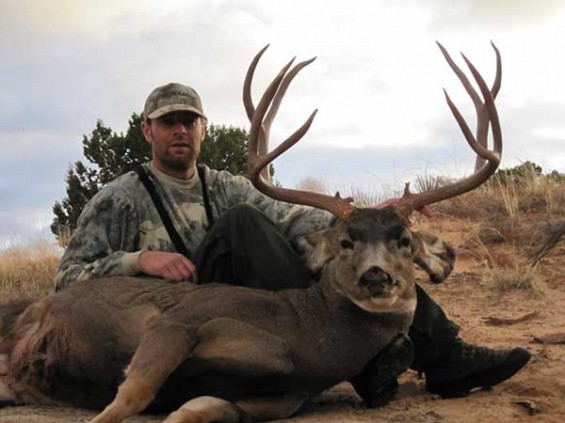 dieringer mule deer 5