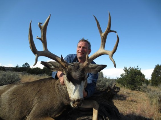 dieringer mule deer larger