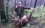 Awesome Elk!