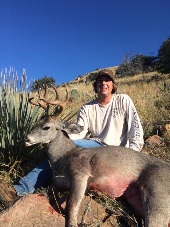 coues buck