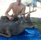 3×3 whitetail