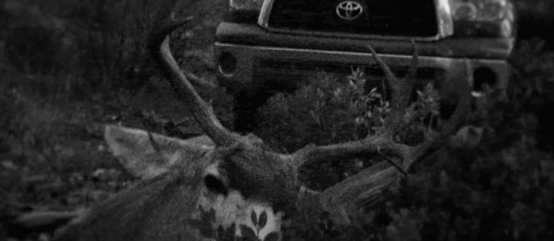 WMAT 3a mule deer