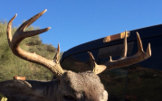 My First Coues Deer