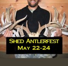 Shed Antlerfest 2015