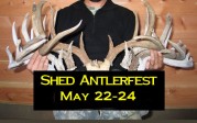 Shed Antlerfest 2015