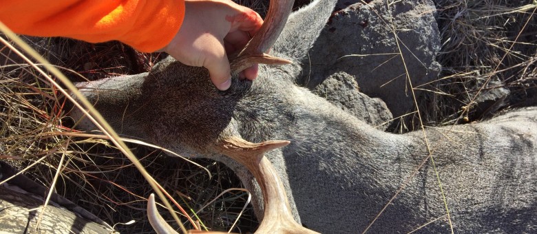 30a second chance solo hunt