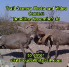 2016 Trail Camera Photo and Video Contest!