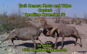 2016 Trail Camera Photo and Video Contest!
