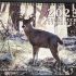 2023 Coues Calendars are in!